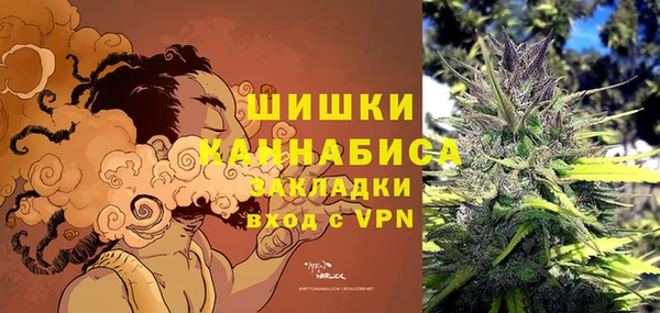 первитин Няндома