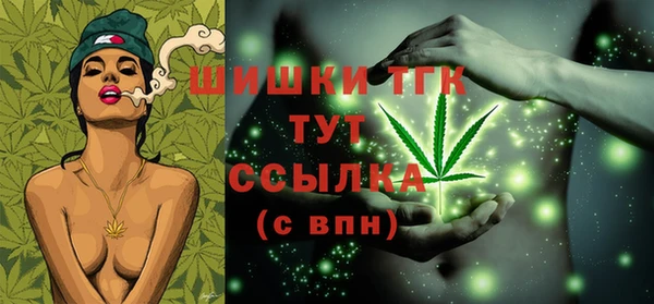 первитин Няндома