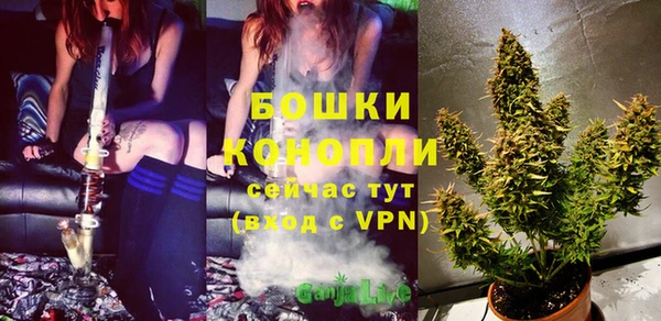 первитин Няндома
