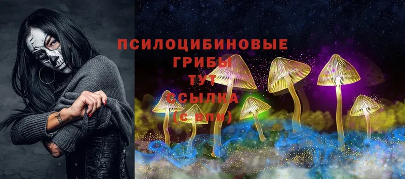 мориарти официальный сайт  Фролово  Псилоцибиновые грибы MAGIC MUSHROOMS 