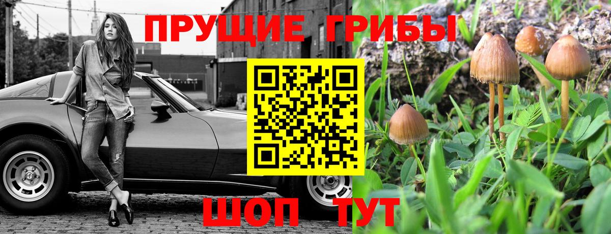 Псилоцибиновые грибы MAGIC MUSHROOMS  Галлюциногенные грибы GOLDEN TEACHER  Вход с VPN  Фролово 